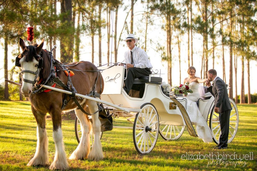 doug-on-carriage