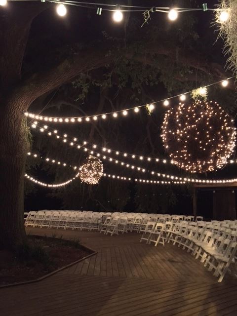 oak-tree-lights